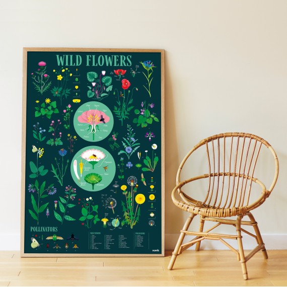 Poppik - Discovery Large Poster & Sticker Set - Botanic