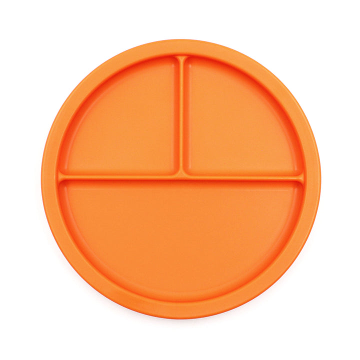 Ark - Divided Section Plate (Individual)