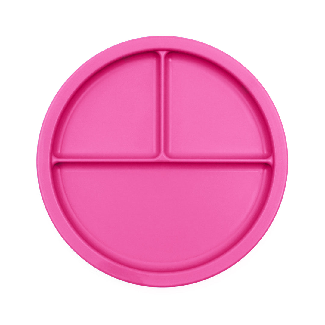 Ark - Divided Section Plate (Individual)