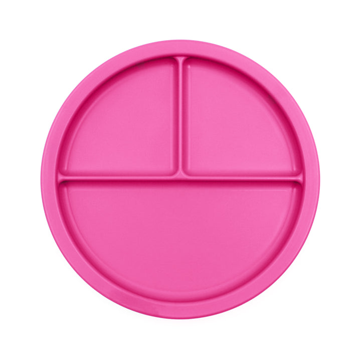 Ark - Divided Section Plate (Individual)