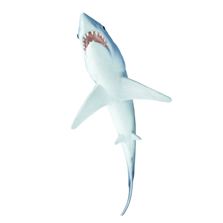 Safari - Mako Shark