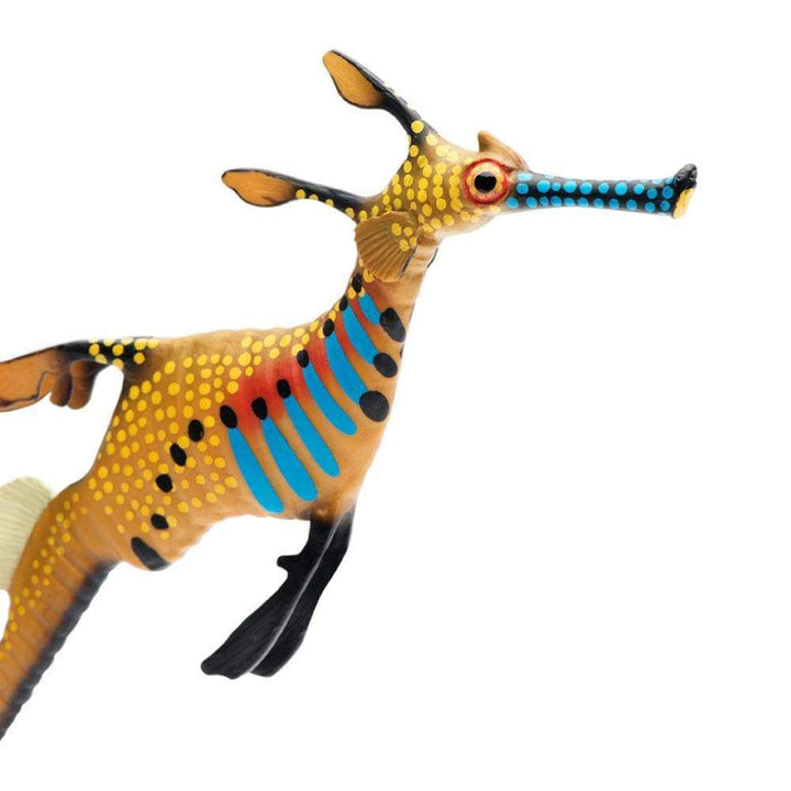 Safari - Weedy Seadragon