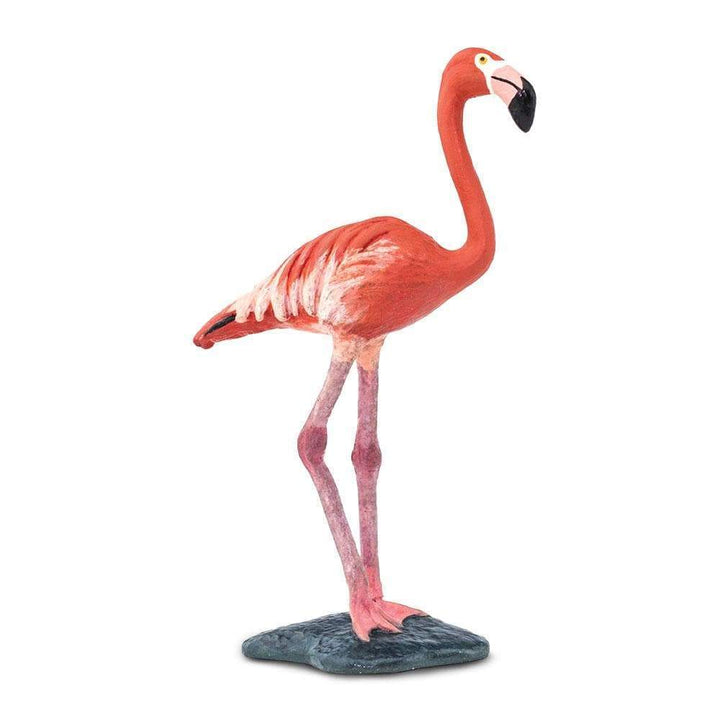 Safari - Flamingo