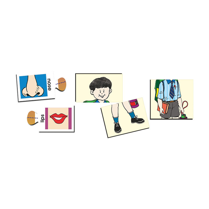 Body Parts - Self Correcting Puzzles