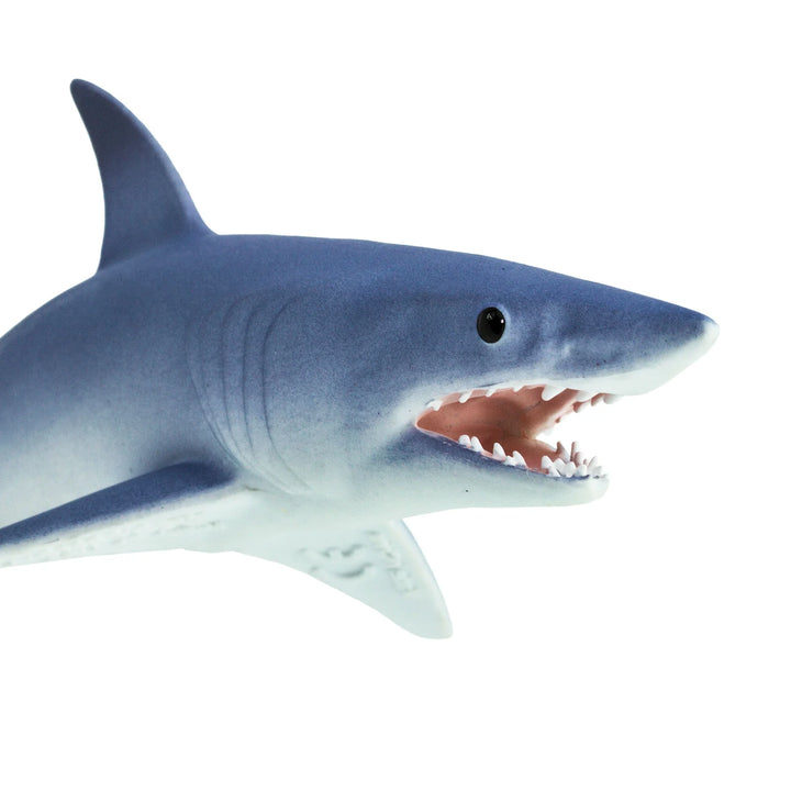 Safari - Mako Shark