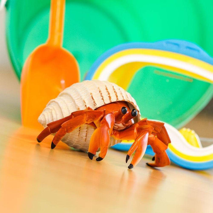 Safari - Hermit Crab