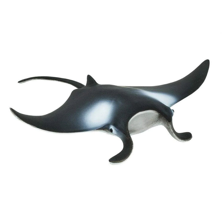 Safari - Manta Ray