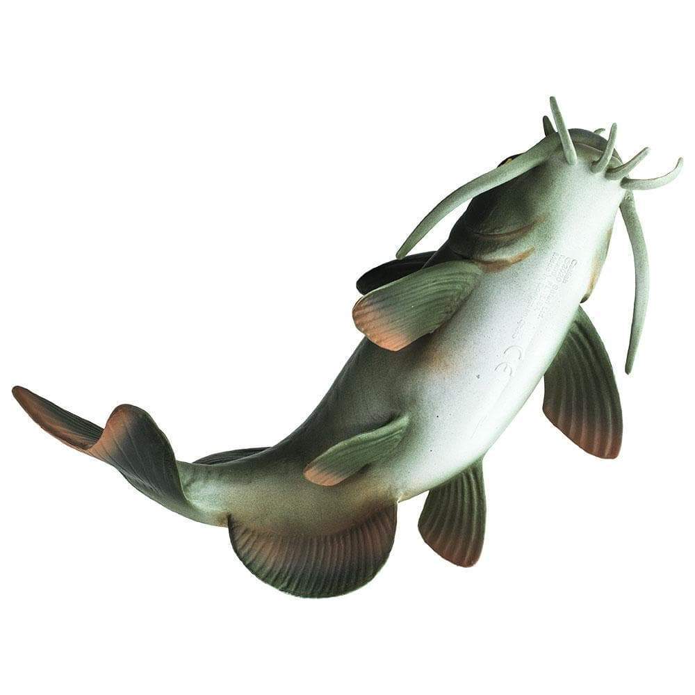 Safari - Catfish