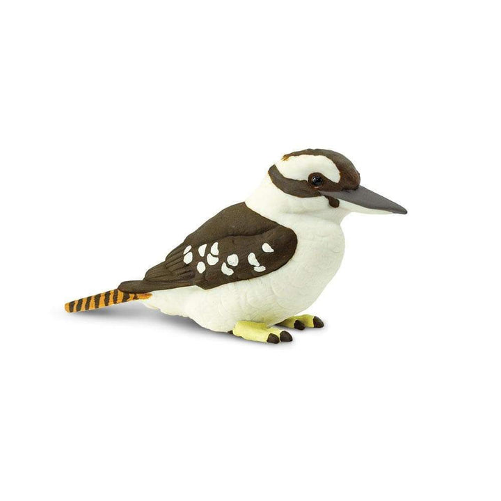Safari - Kookaburra