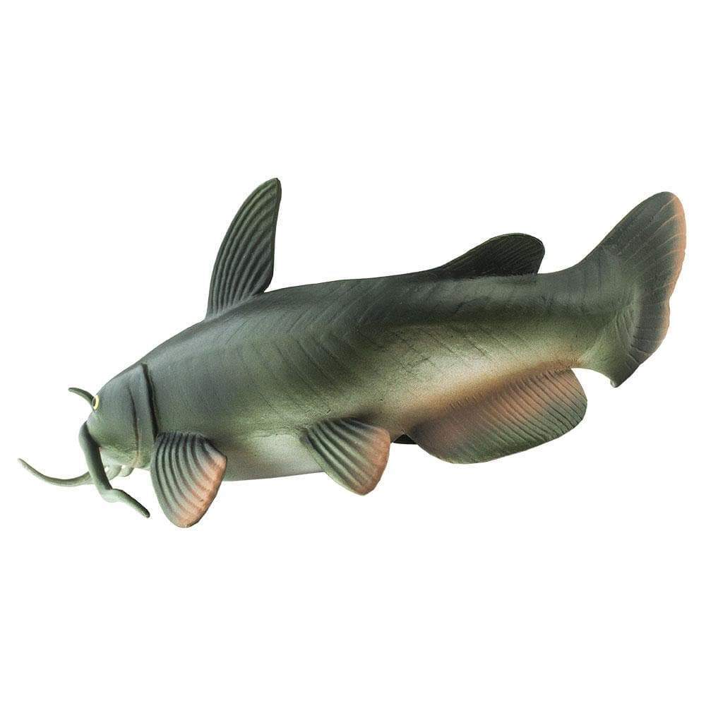 Safari - Catfish
