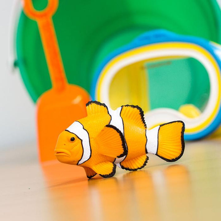 Safari - Clown Anemonefish
