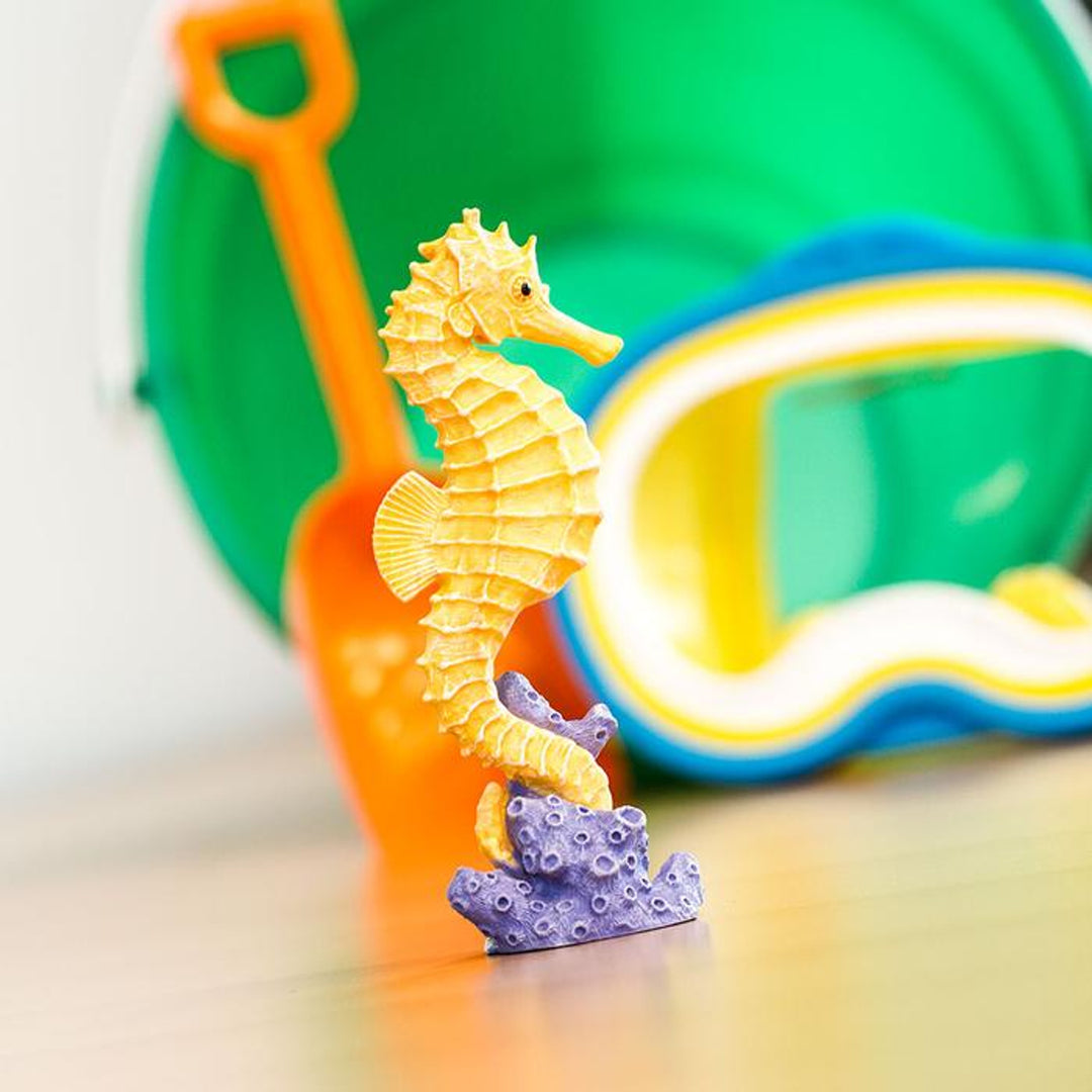 Safari - Seahorse