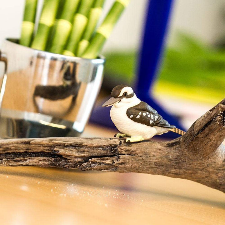 Safari - Kookaburra