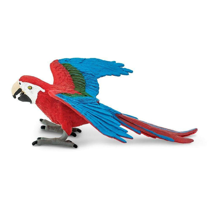 Safari - Green-Winged Macaw
