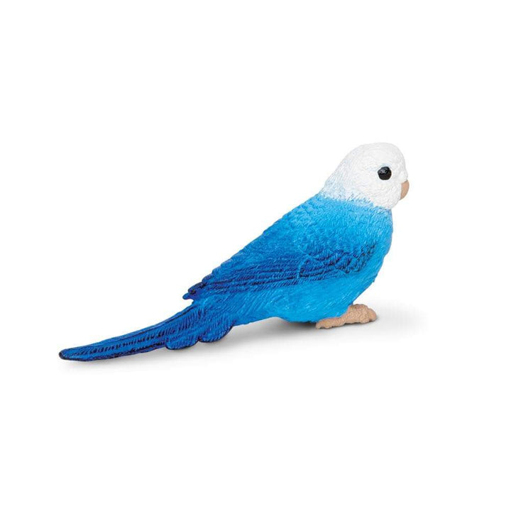 Safari - Blue Budgie