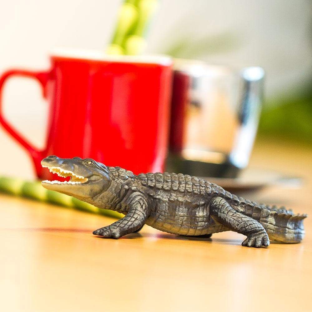 Safari - Crocodile