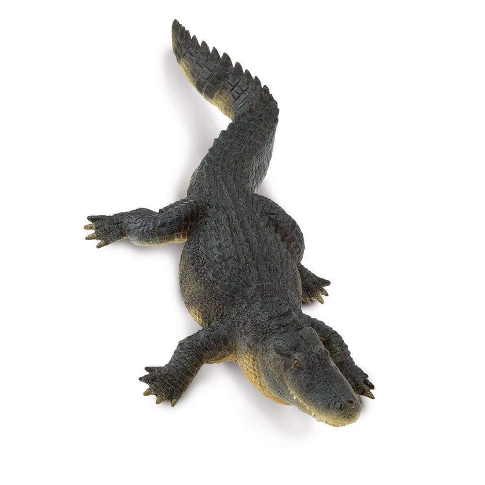 Safari - Alligator (Large)