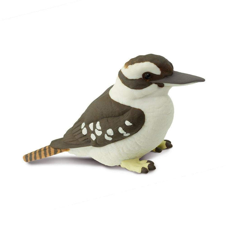 Safari - Kookaburra