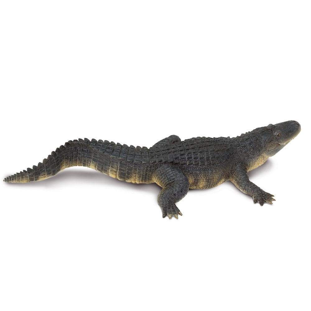 Safari - Alligator (Large)