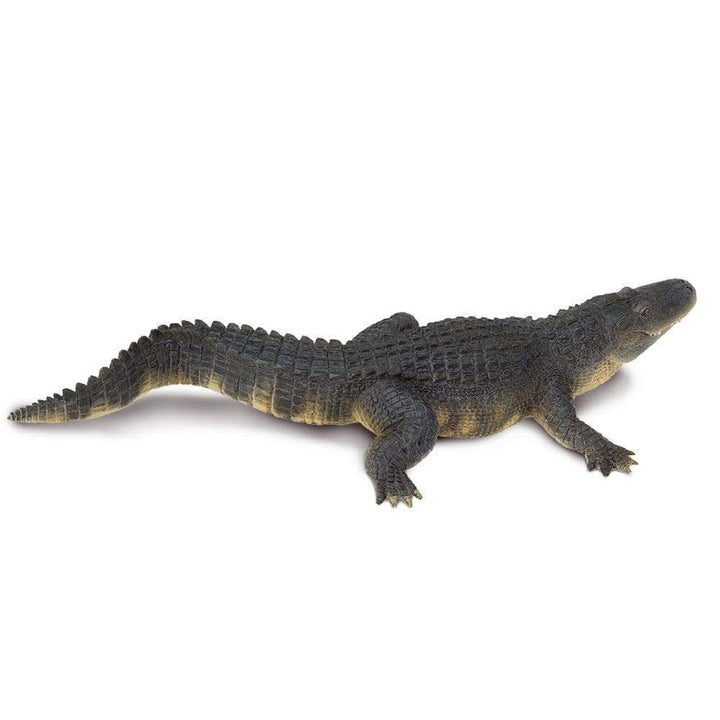 Safari - Alligator (Large)