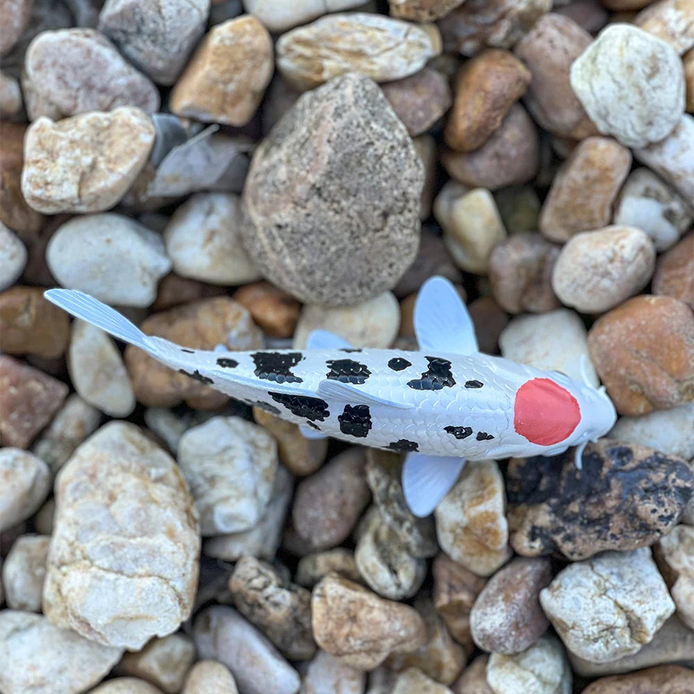 Safari - Koi Fish Tancho