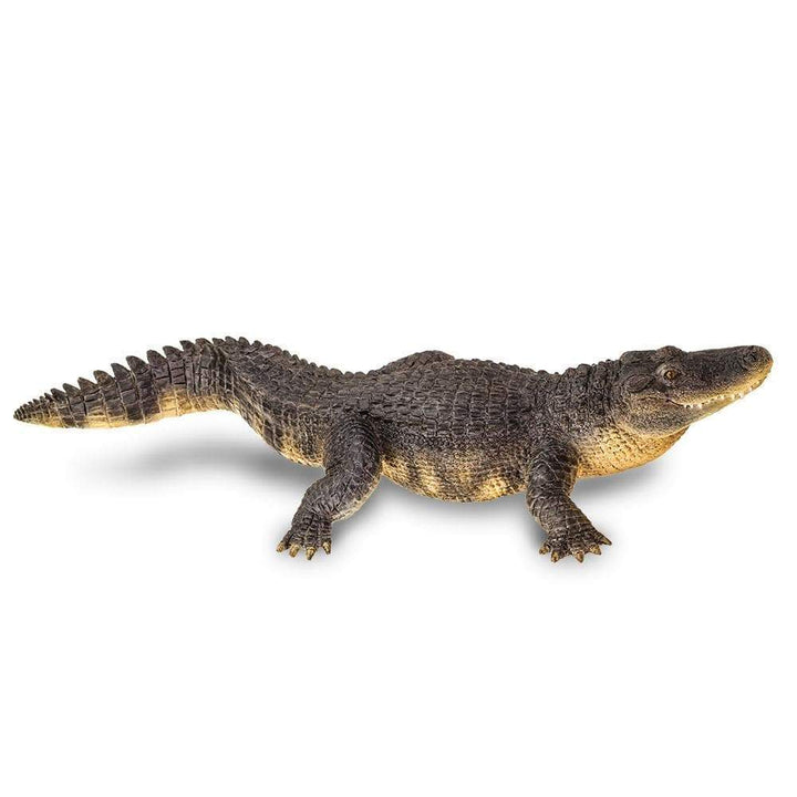 Safari - Alligator (Large)