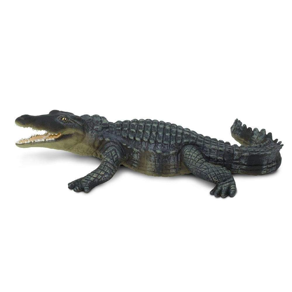 Safari - Crocodile