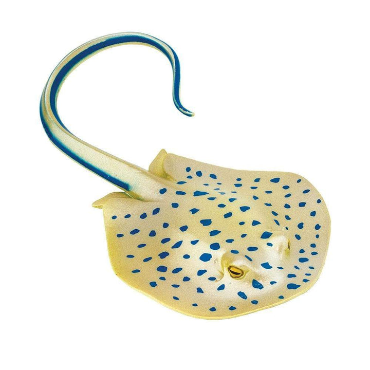 Safari - Blue Spotted Ray