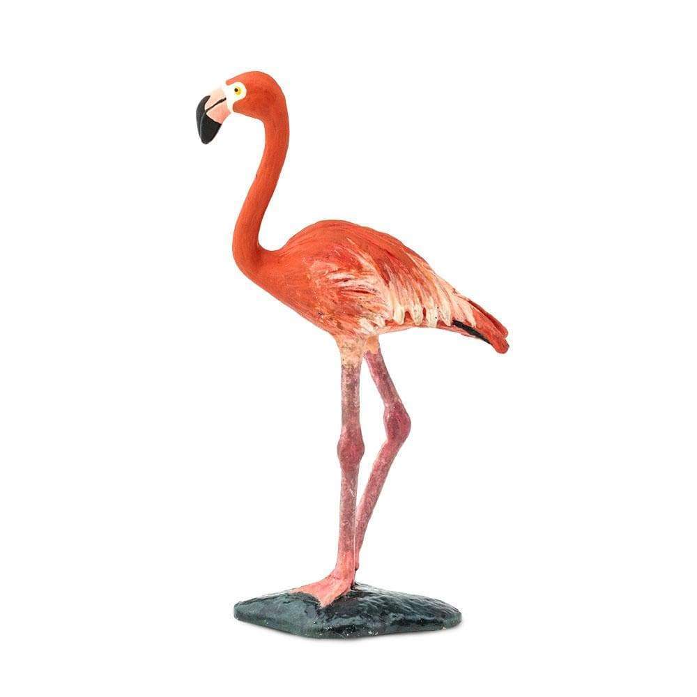 Safari - Flamingo