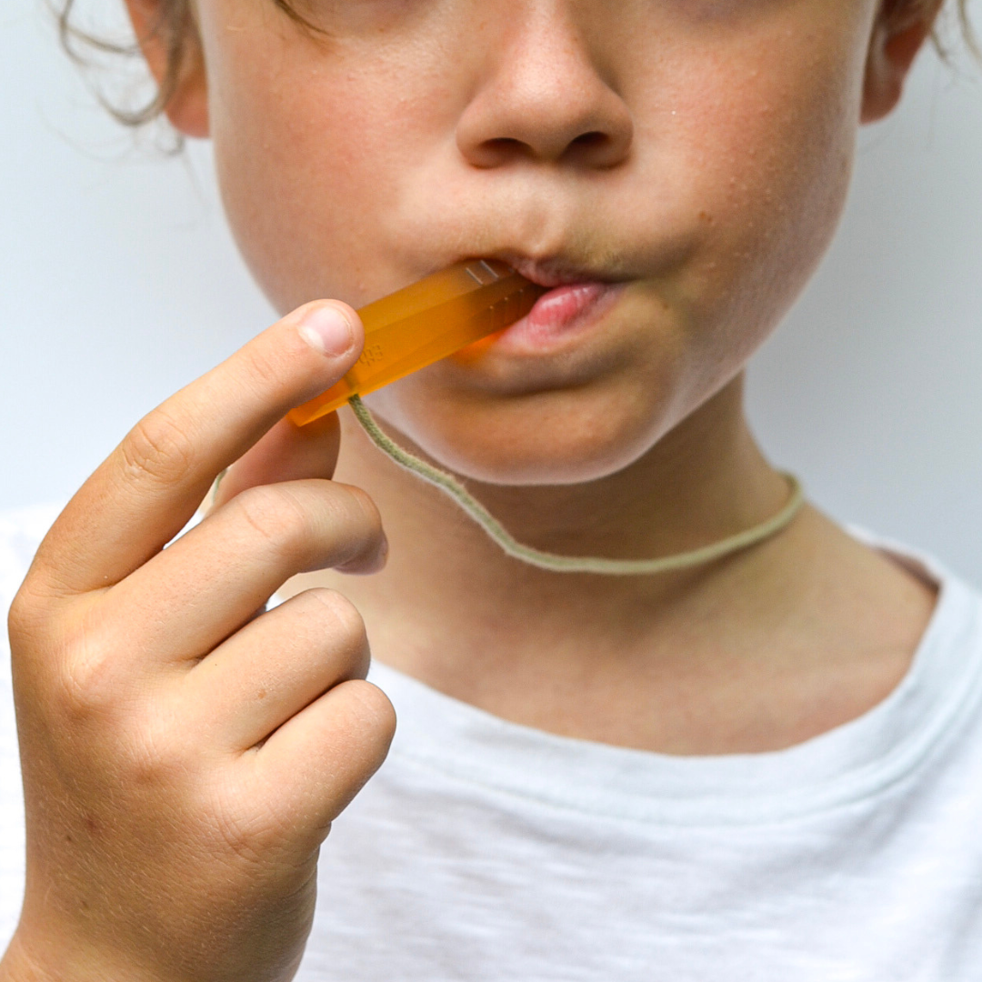 Ethology - The Santo: Natural Rubber Sensory Necklace (2 Pack)