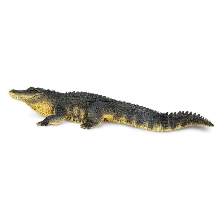 Safari - Alligator (Large)
