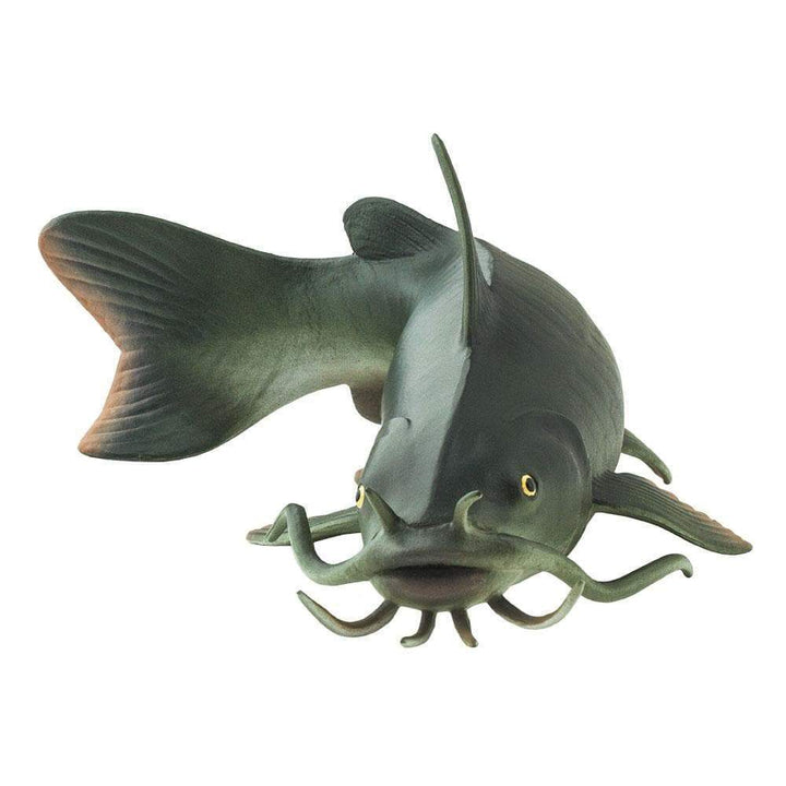 Safari - Catfish