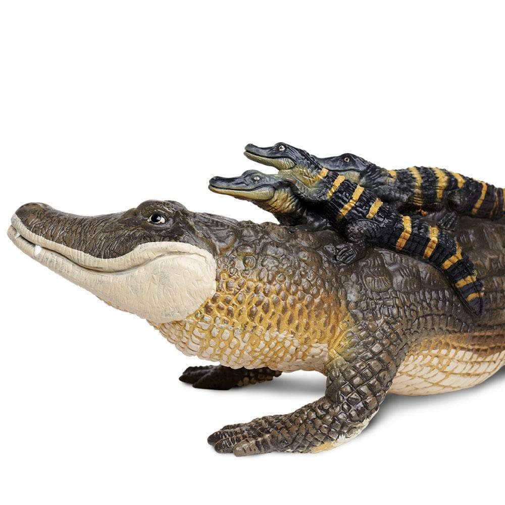Safari - Alligator with Babies (Jumbo)
