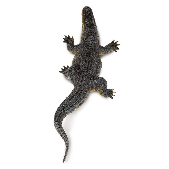 Safari - Alligator (Large)