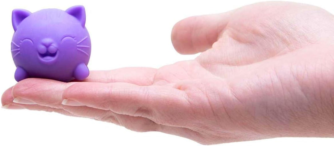 NeeDoh - Cool Cats Teenie - Box Set (4pk)