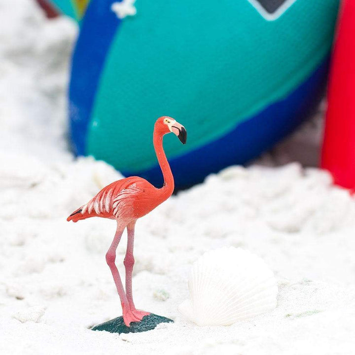 Safari - Flamingo