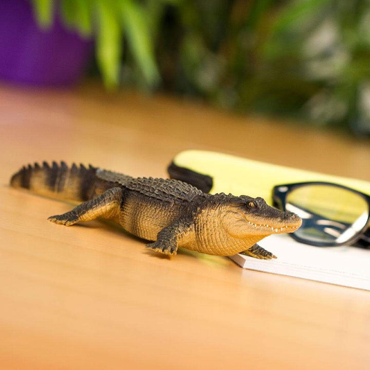 Safari - Alligator (Large)