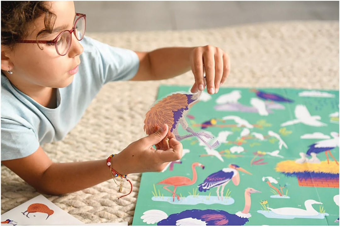 Discovery Large Poster & Sticker Set - Birds