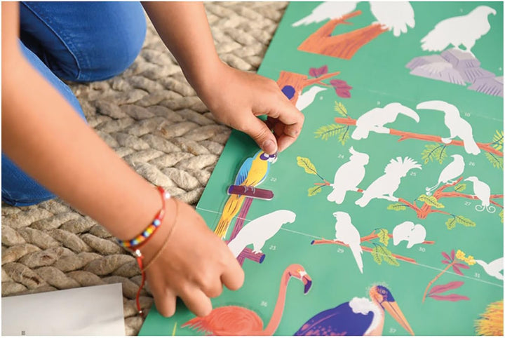 Discovery Large Poster & Sticker Set - Birds