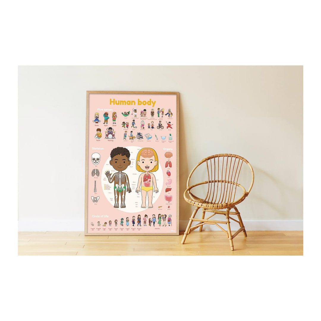 Discovery Large Poster & Sticker Set - Human Body