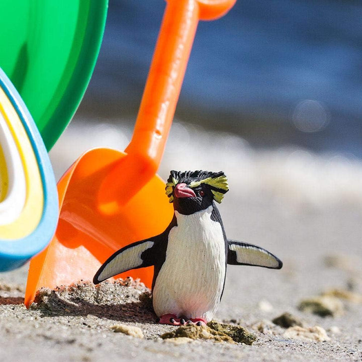 Safari - Rockhopper Penguin