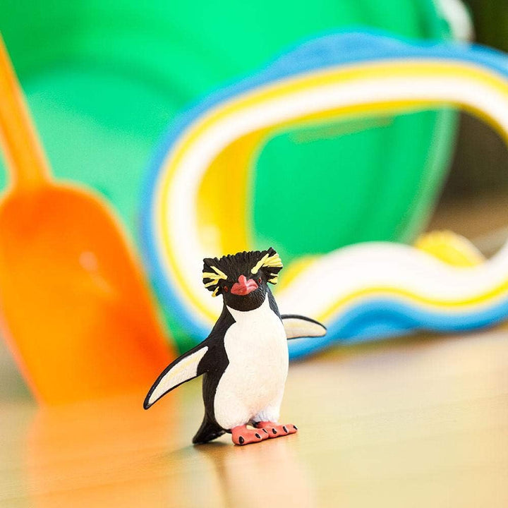 Safari - Rockhopper Penguin