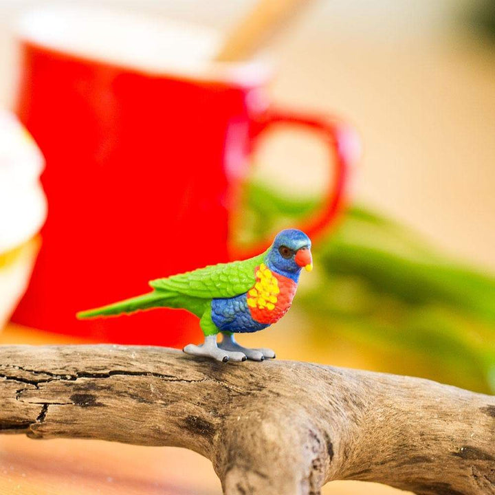 Safari - Lorikeet