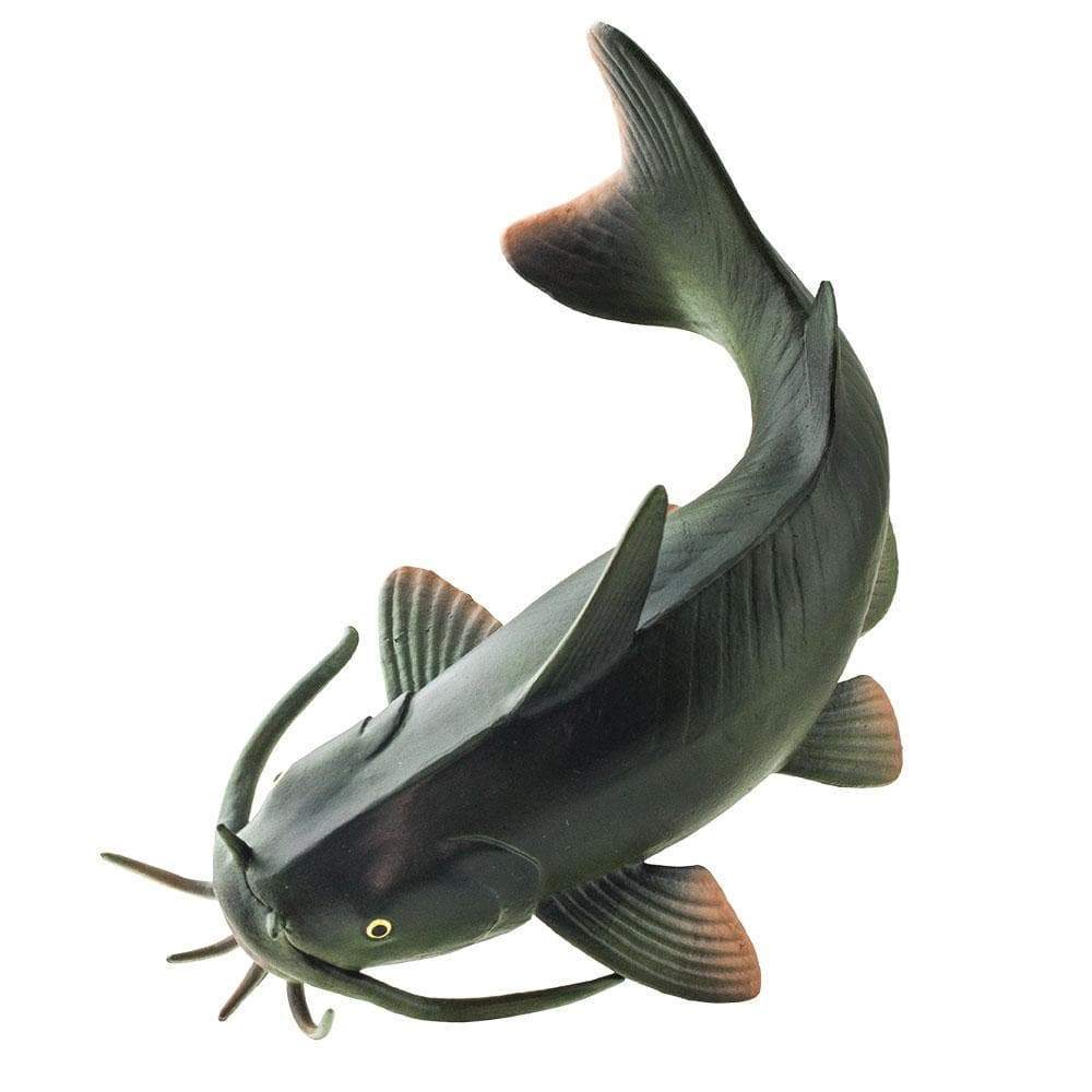 Safari - Catfish