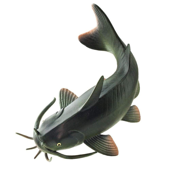 Safari - Catfish