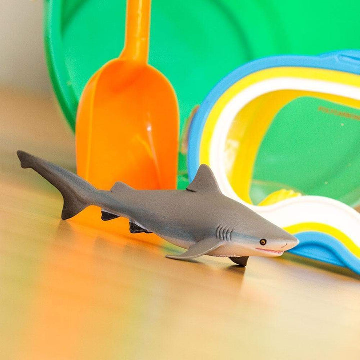Safari - Bull Shark