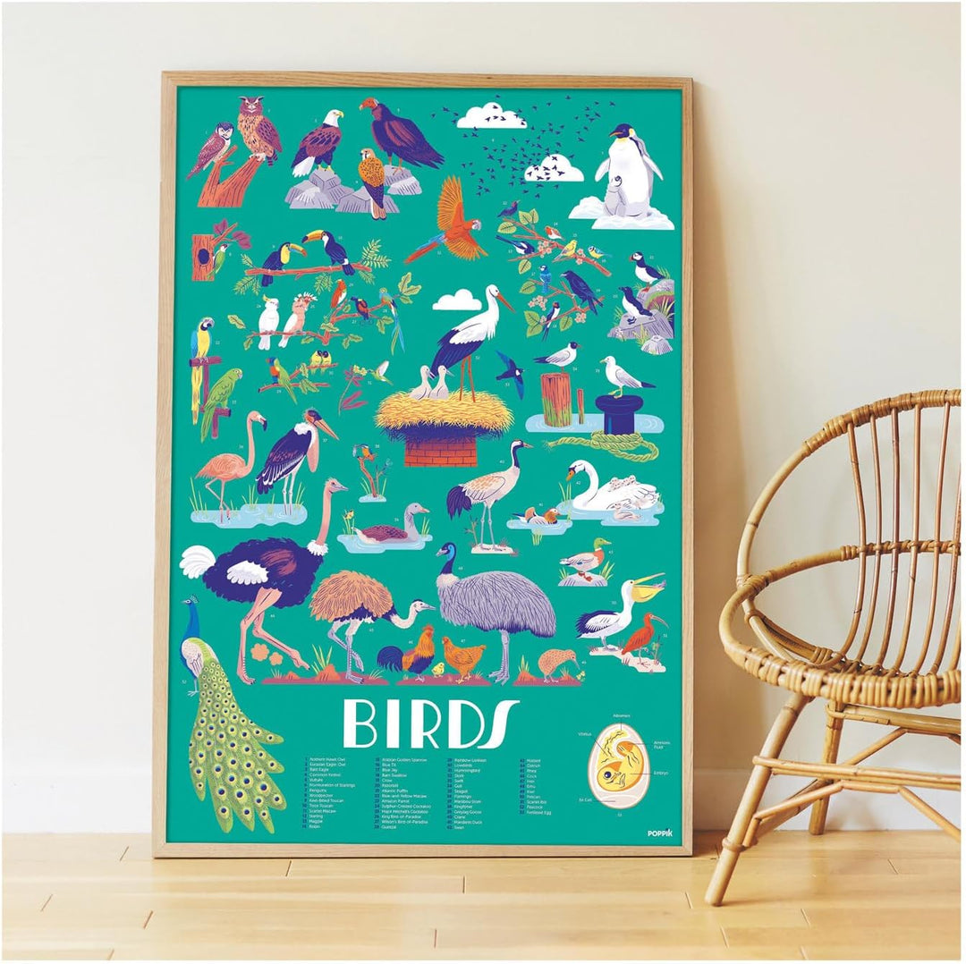 Discovery Large Poster & Sticker Set - Birds