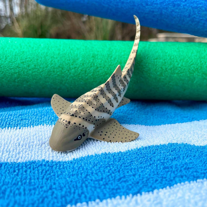 Safari - Zebra Shark