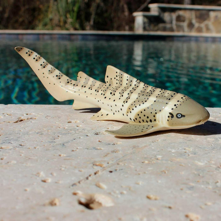 Safari - Zebra Shark