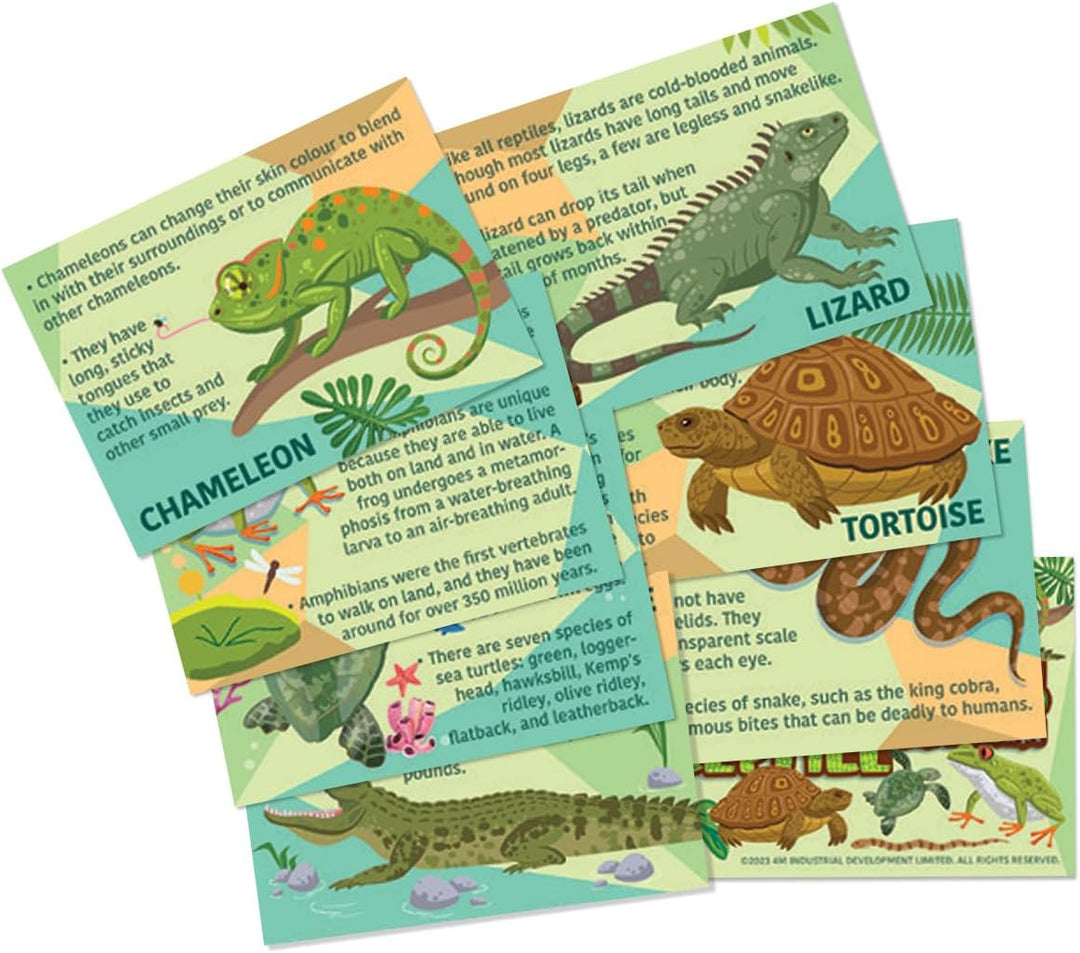 4M - Mould & Paint Kit - Reptile & Amphibian
